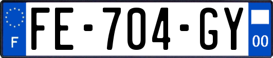 FE-704-GY
