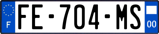 FE-704-MS