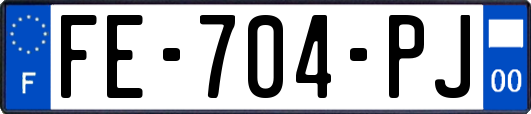 FE-704-PJ