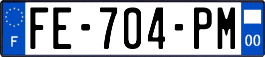 FE-704-PM