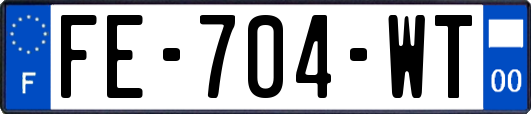 FE-704-WT