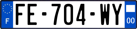 FE-704-WY