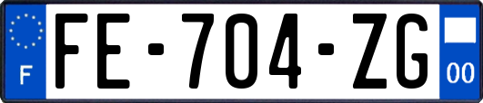 FE-704-ZG