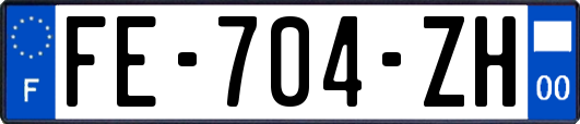 FE-704-ZH