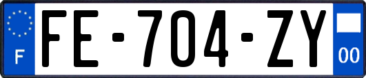 FE-704-ZY