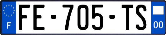 FE-705-TS