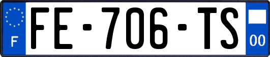 FE-706-TS