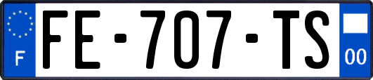 FE-707-TS