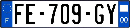 FE-709-GY