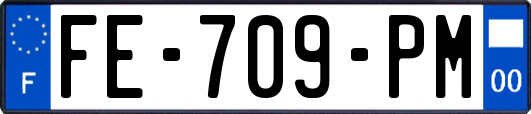 FE-709-PM