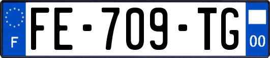 FE-709-TG