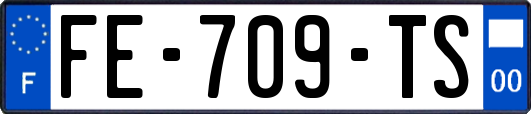 FE-709-TS