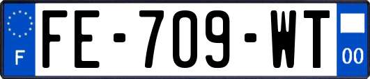 FE-709-WT