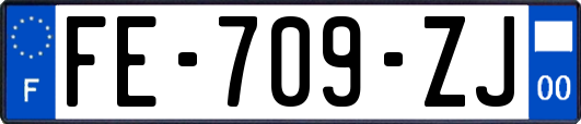 FE-709-ZJ