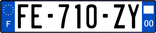 FE-710-ZY