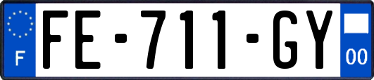 FE-711-GY