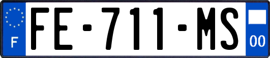 FE-711-MS