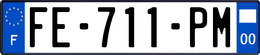 FE-711-PM