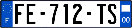 FE-712-TS