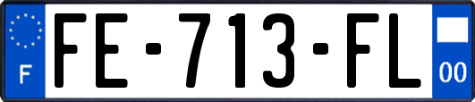 FE-713-FL