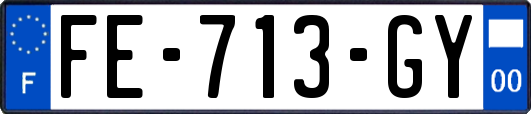 FE-713-GY