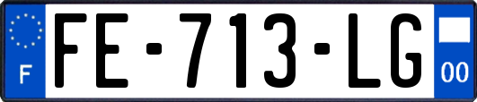 FE-713-LG
