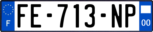 FE-713-NP