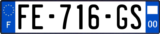 FE-716-GS