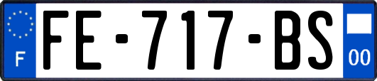 FE-717-BS