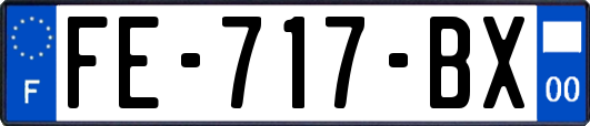 FE-717-BX