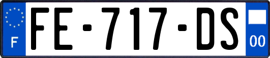 FE-717-DS