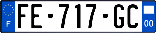 FE-717-GC