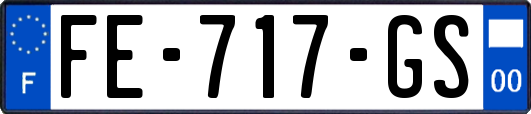FE-717-GS