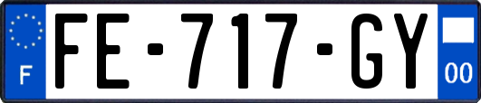 FE-717-GY