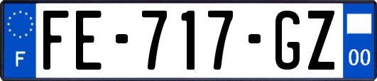 FE-717-GZ