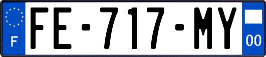 FE-717-MY