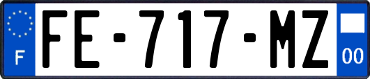 FE-717-MZ