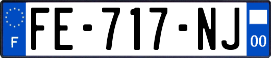 FE-717-NJ