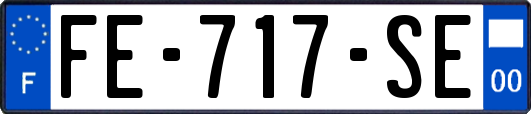 FE-717-SE