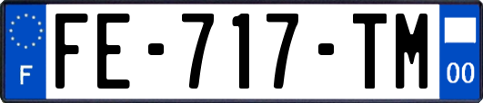 FE-717-TM