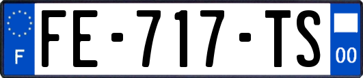 FE-717-TS