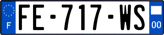 FE-717-WS