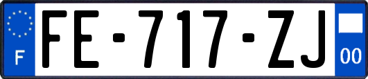 FE-717-ZJ