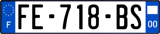 FE-718-BS