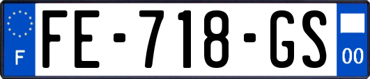 FE-718-GS