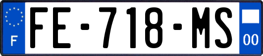 FE-718-MS