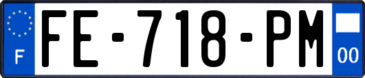 FE-718-PM