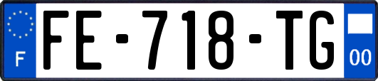 FE-718-TG
