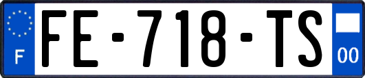 FE-718-TS