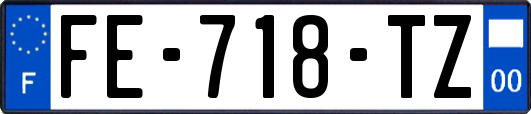 FE-718-TZ